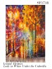 Lady in White under the Umbrella Oil Painting Scarf